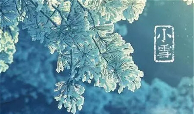 小雪节气应该吃什么食品