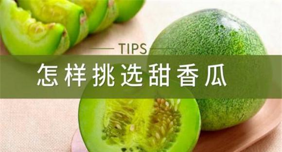 如何挑选甜瓜