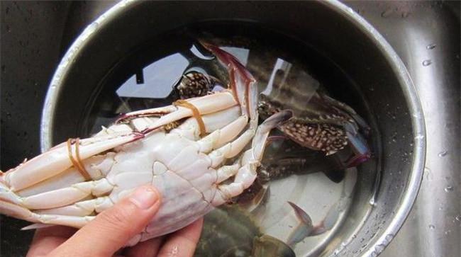青蟹死了还能吃吗