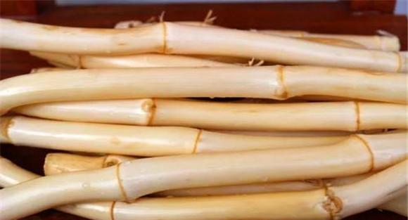 芦根的选购与储存指南