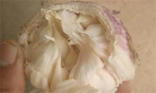 面包蒜的发生与预防：如何防止面包蒜产生
