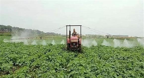 采用机械除草与化学除草相结合