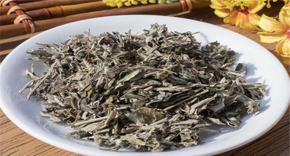 艾叶的功效与性能