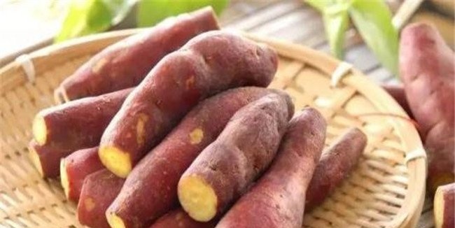 山芋是红薯吗