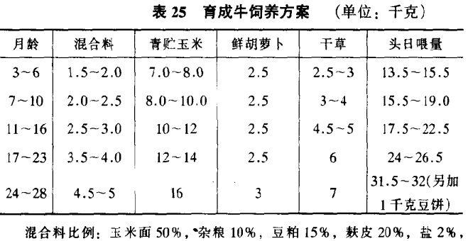 乳用育成牛的饲喂要点