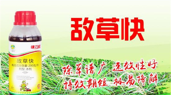 敌草快和草甘膦的区别