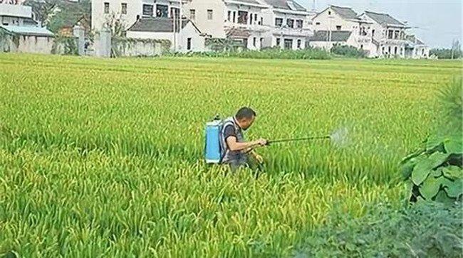 使用磷酸二氢钾的注意事项