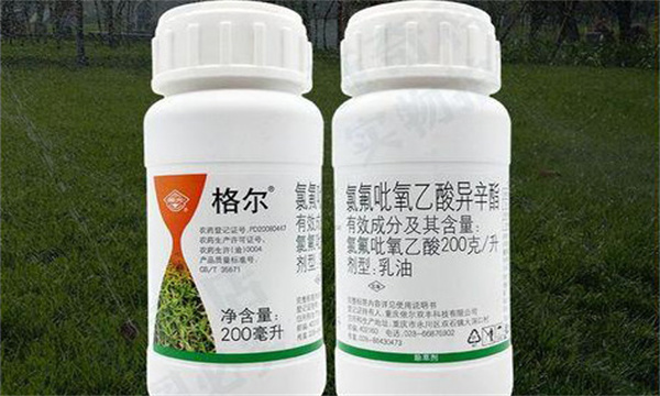 氯氟吡氧乙酸除草剂