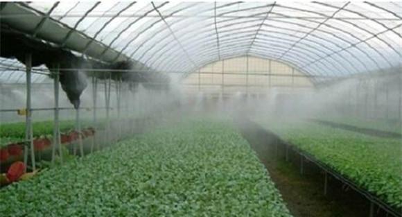拱圆形塑料大棚的湿度变化情况