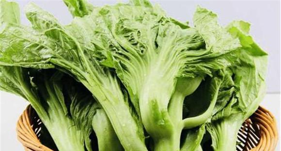 芥菜的食疗作用
