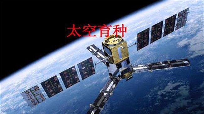 什么是航天育种