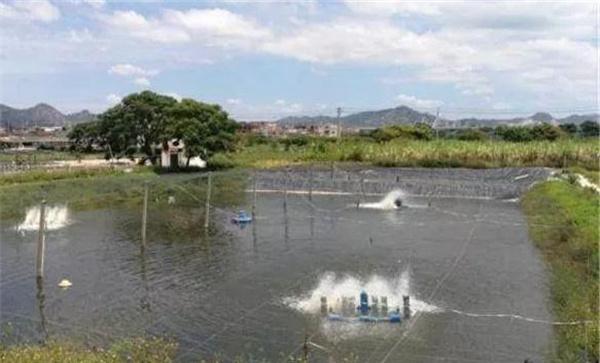 实行以水控温调氧