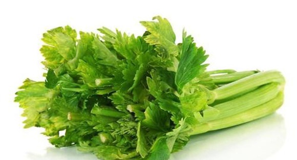 多吃芹菜可以平肝降压