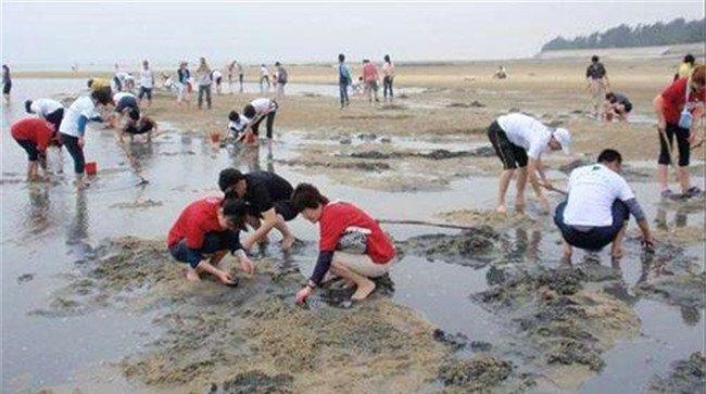 怎么抓螃蟹抓螃蟹的五种方法