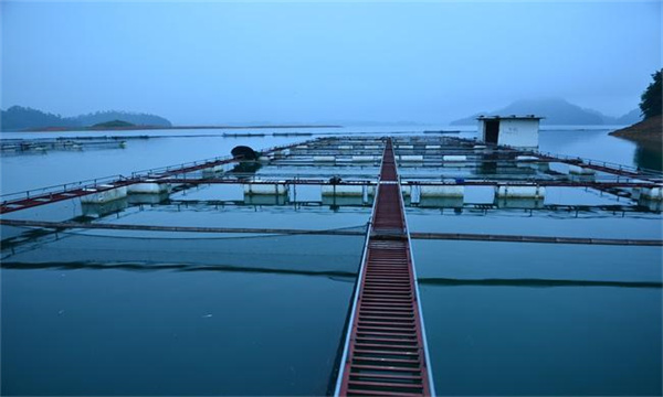 清除污物