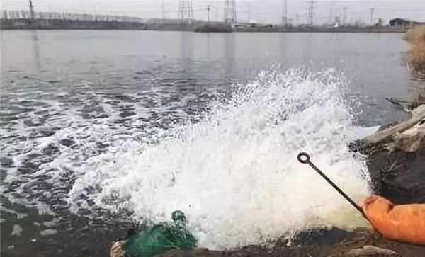 鱼苗池分期注水方法