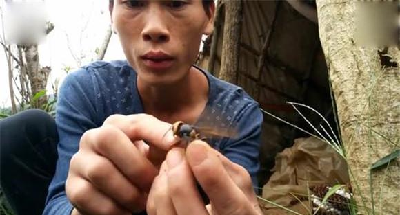被胡蜂蜇后怎么办