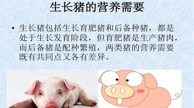猪所需的主要营养成分之间