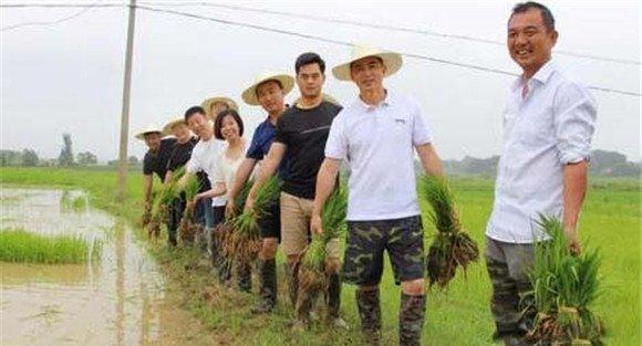 有机水稻栽培技术的生产方式