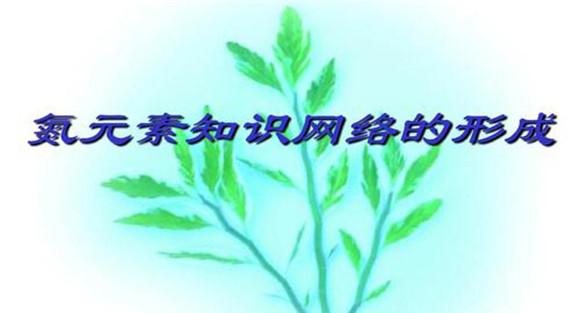 氮、磷元素是相互作用、相互影响的关系