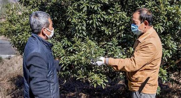 加强果园管理