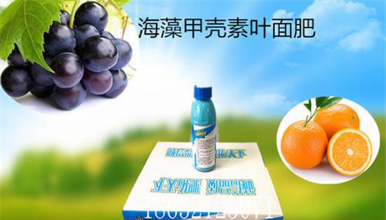 叶面肥