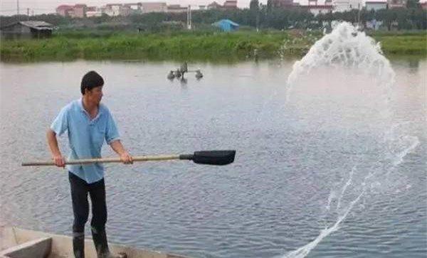 清塘消毒