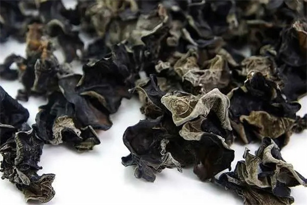 黑木耳与毛木耳有什么区别