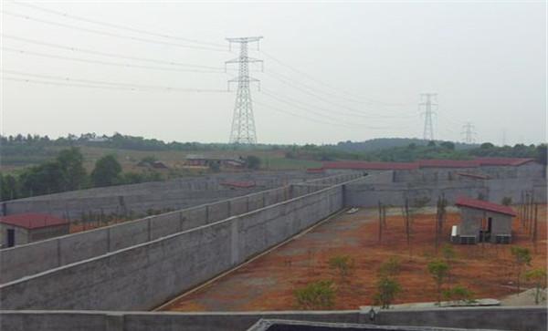 怎样选择蛇场场址进行蛇场建设