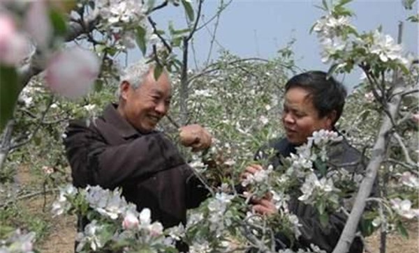 狠抓保花保果