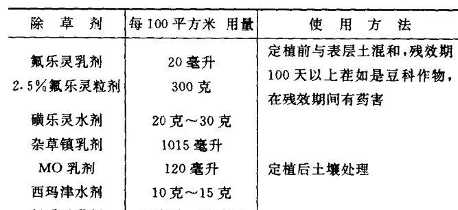 青花菜管理技术