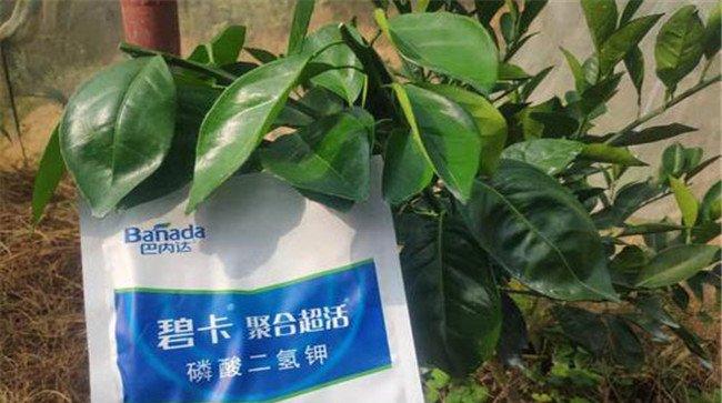 磷酸二氢钾的使用方法