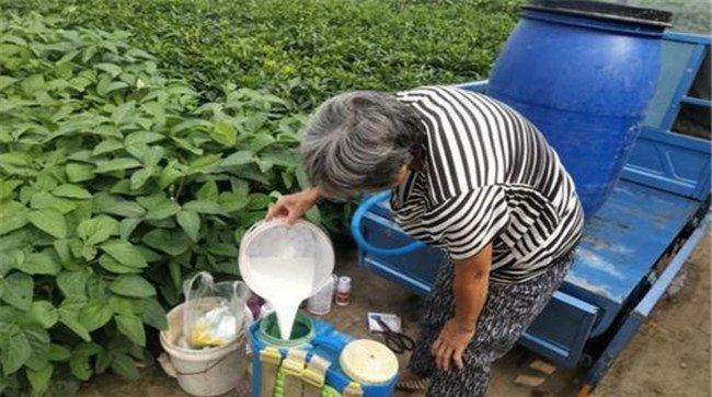 磷酸二氢钾的使用量