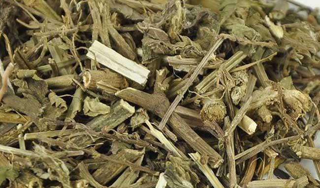 马鞭草的功效与作用