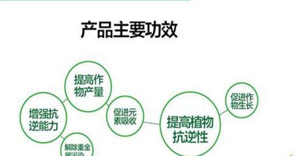硅肥的作用及功能
