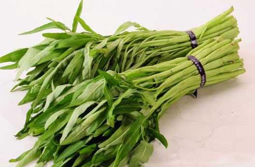 空心菜种植方法