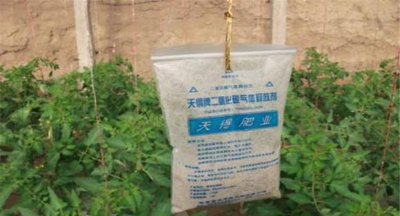 在大棚中施放气肥的方法