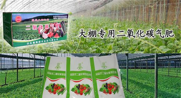 气肥的主要作用有哪些