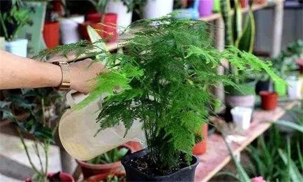保温防寒，安全越冬