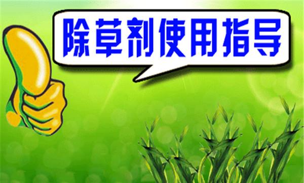发生除草剂药害如何补救