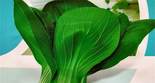 秋冬油菜
