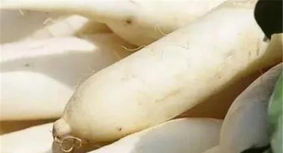 萝卜糠心是什么原因