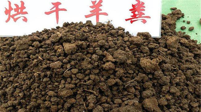 羊粪属于什么肥料