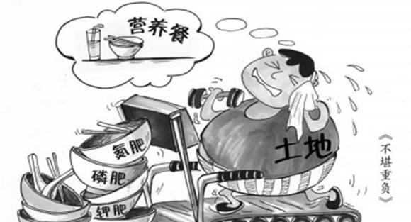 过度使用化肥