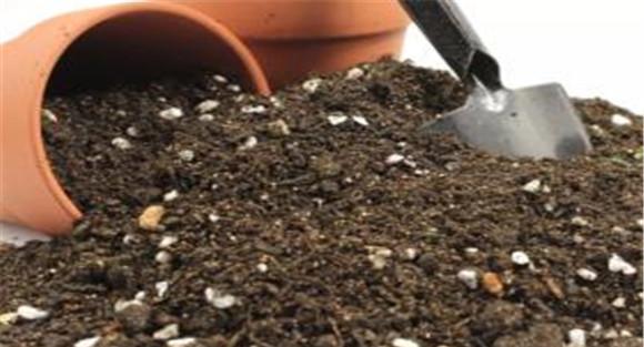 花盆选择和营养土配置