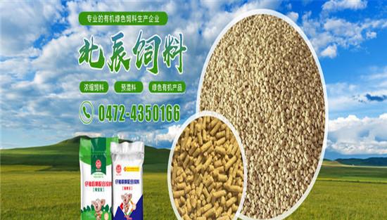 乳山羊的饲料大致种类