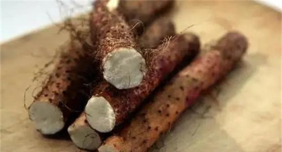 山药黑斑病的预防措施