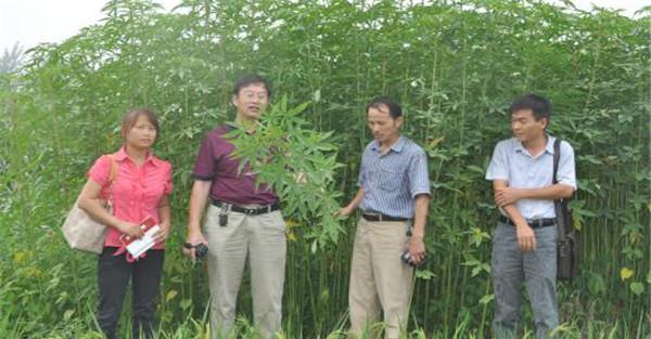 要搞好田间管理