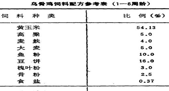 乌骨鸡的饲养技术
