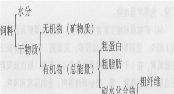 植物性饲料中的营养物质和作用